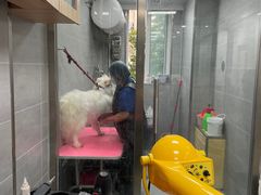 -宠福鑫康馨动物医院·骨科·眼科