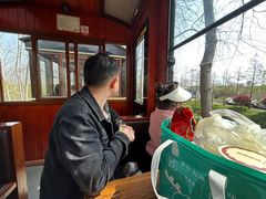 -合肥滨湖国家森林公园