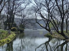 -茅家埠