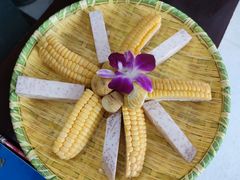 黄金搭档-墨脱石锅椰子鸡•香草鸭•东山羊(大东海店)