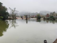 -靖西鹅泉风景区