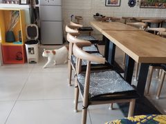 用餐区-平行世界·猫咖(首经贸店)