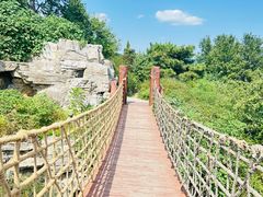 -北京西山国家森林公园