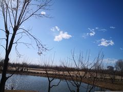 -东郊湿地公园