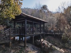 -白马涧龙池景区