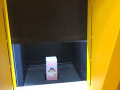 -popmart(CP静安店)