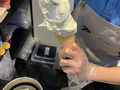 -野人先生现做冰淇淋(西安赛格店)