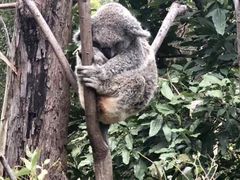 -可伦宾野生动物保护区