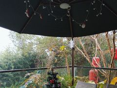 -恬阿姨庭院餐厅·生日宴