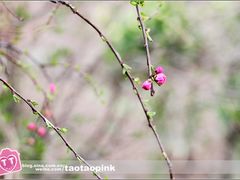 -哈尔滨师范大学(江南校区)