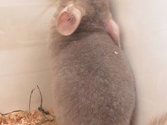 -龙猫仔乐园(惠福东路店)