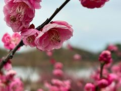 -艾溪湖湿地公园