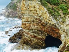 -杨梅坑
