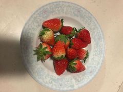 -恒绿农产品草莓采摘园