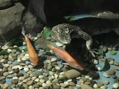 -苏州海洋馆