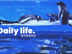 -蓬莱欧乐堡海洋极地世界