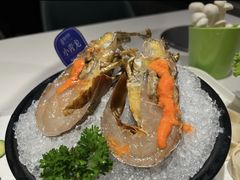 -海月轩海鲜豆捞(紫金塔店)