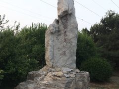 -云岗森林公园