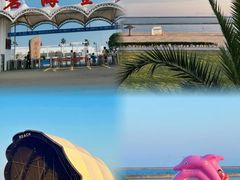 -碧海金沙