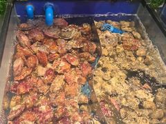 -川骄海鲜自助(亚运村店)