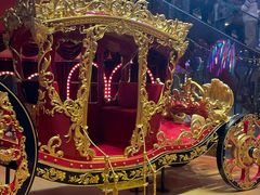 -广州长隆国际大马戏