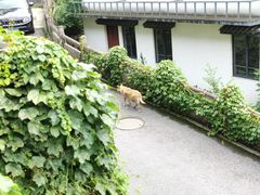 -简象咖啡CAFE ELE JANE(满陇桂雨店)