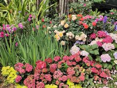 -人民公园(罗湖区)