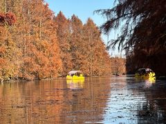 -上海海湾国家森林公园