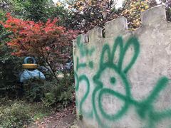 -勇士之星真人CS·团建·拓展(清水河公园店)