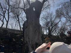 -恭王府博物馆