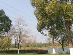 -九里河湿地公园