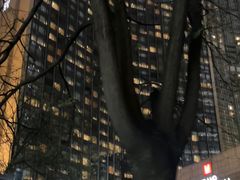 -北京千禧大酒店