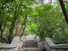 -千佛山风景名胜区
