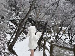 -洛阳白云山景区