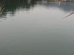 -石燕湖生态旅游景区