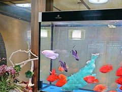 -臻享养生·SPA·影院式足道(汇臻店)