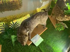 -下渚湖国家湿地公园科普馆