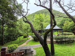 -太平山顶