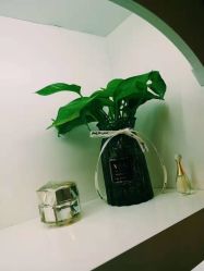 -美肤盾祛痘·问题肌头疗管理中心