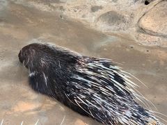 -海南热带野生动植物园