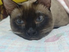 -美迦爱-牙专科·兔科·骨科诊疗中心(北苑店)