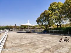 -新江湾城公园