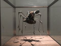 -旧金山现代艺术博物馆