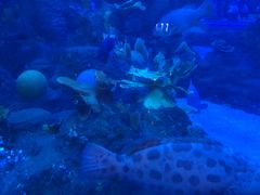 -成都浩海立方海洋公园