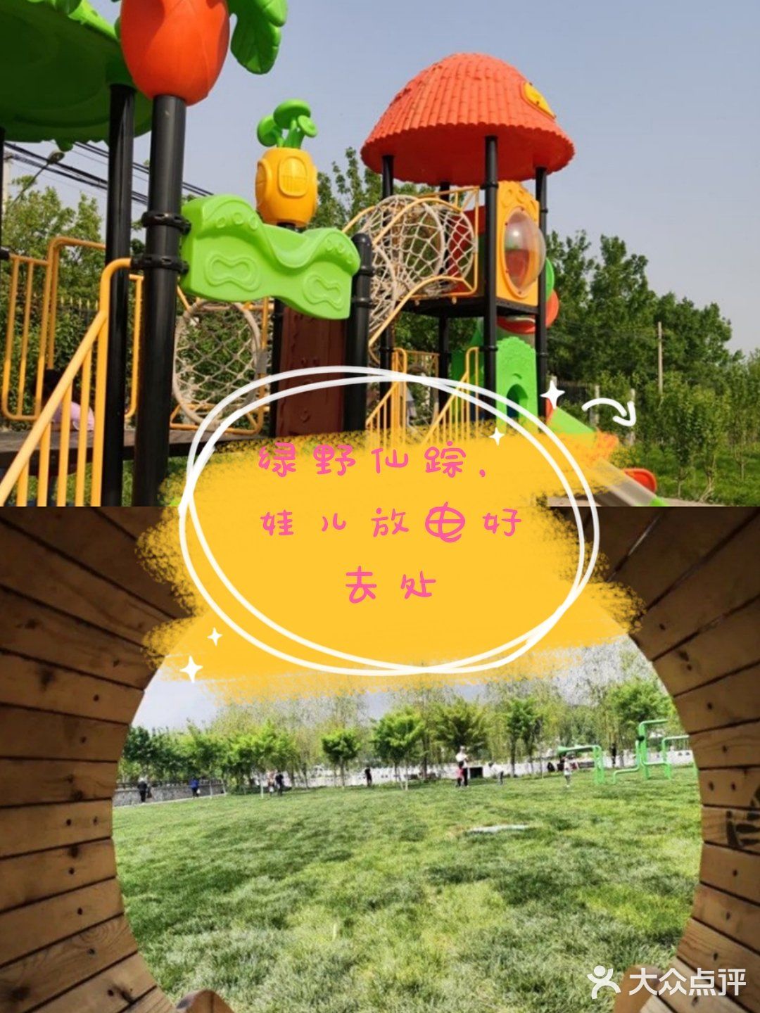 绿野仙踪，放电新去处～