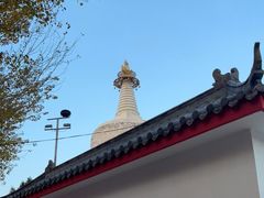 -西塔