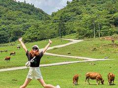 -山王坪喀斯特国家生态公园