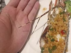 -广州万富希尔顿酒店·感趣自助餐厅·金秋蟹宴生蚝海鲜刺身烧烤