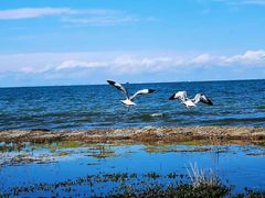 -青海湖国家重点风景名胜区