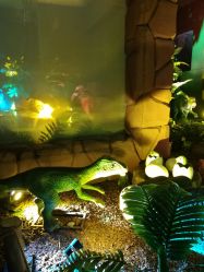 -恐龙探索乐园(磁器口店)